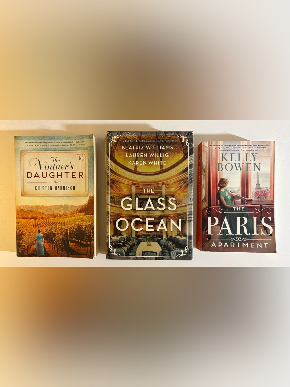 Historical Fiction Books Lot Paris Apartment Glass Ocean Vintner’s Daughter
